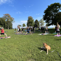 Hybrid Morse Beach Green Space and Zoom